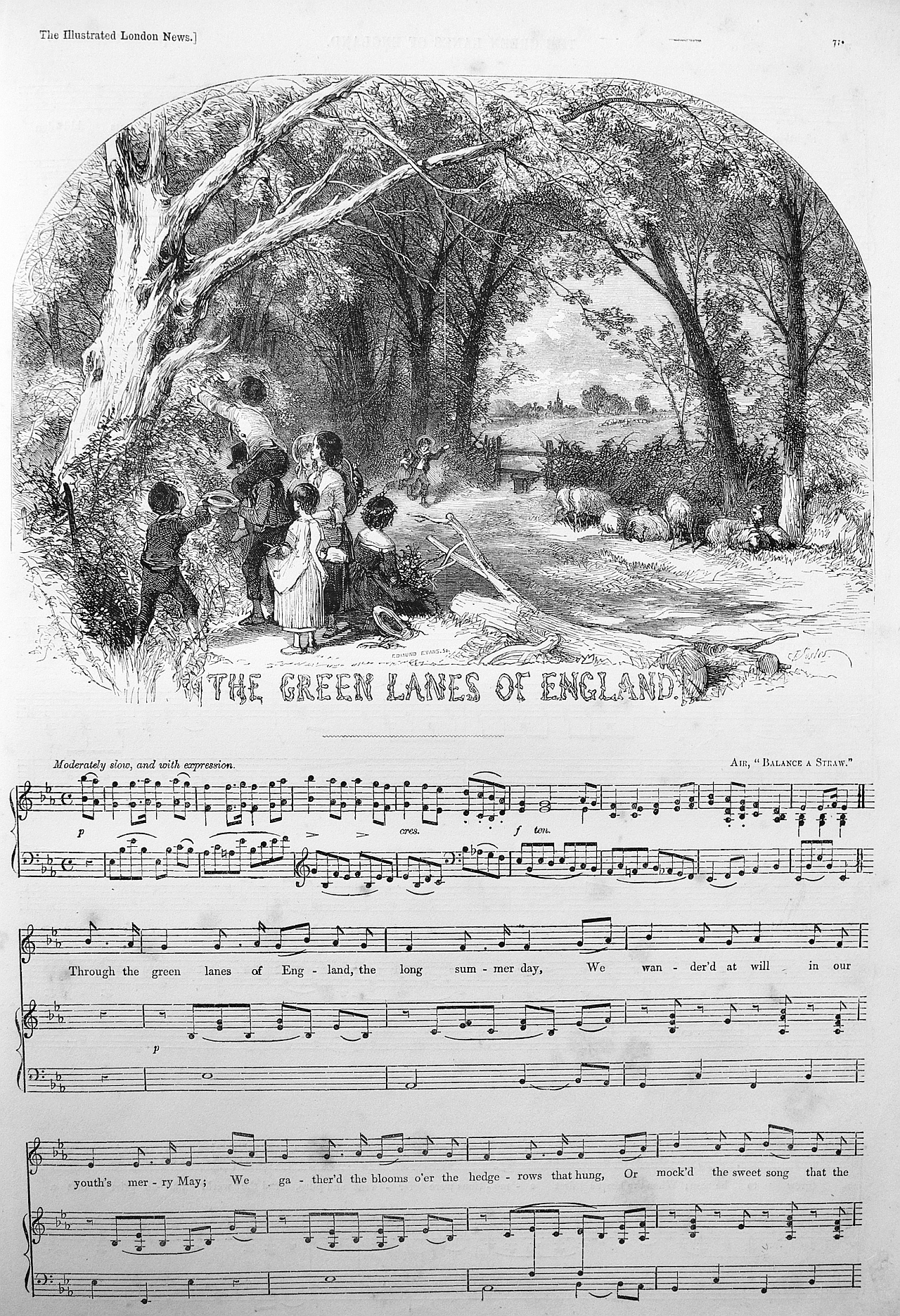 The green lanes of England